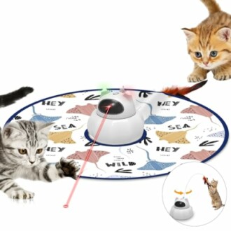 Kittens playing with an interactive rotating laser cat toy.